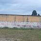 Scritte no vax sul muro del cimitero