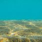 Il mare restituisce un'anfora di duemila anni