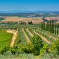 Attività agricole in Toscana: investimenti e opportunità 