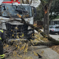 Grosso ramo piomba sul camion dei rifiuti
