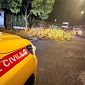 Maltempo, cartelli sradicati e tegole in strada