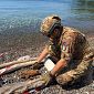 Sulla spiaggia spunta una granata della seconda guerra mondiale